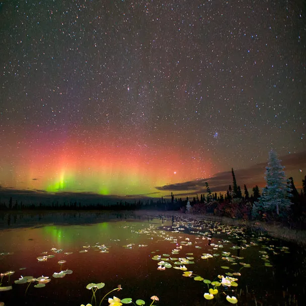 Authentic Cards Aurora Borealis 02 - MAXI